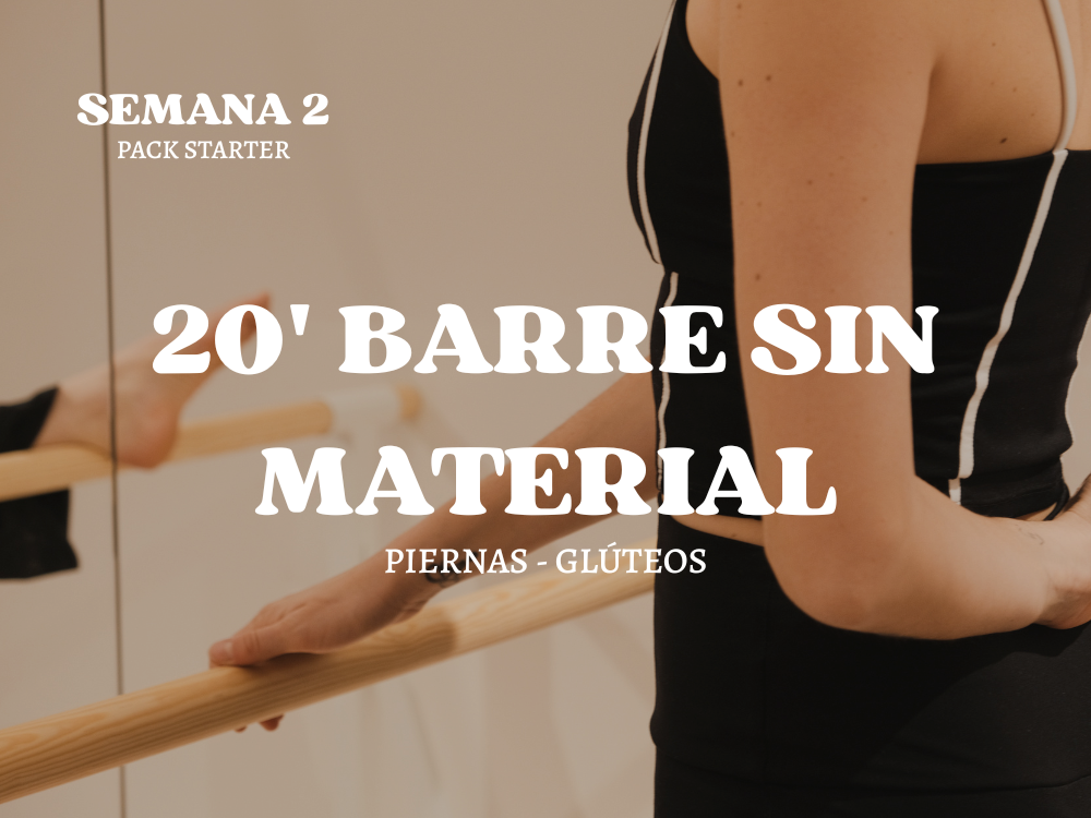 20 BARRA SIN MATERIAL
